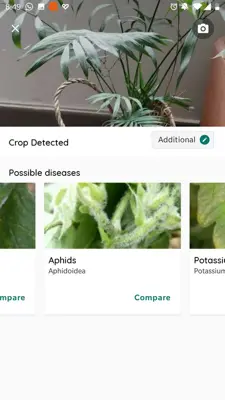 Plantix android App screenshot 1